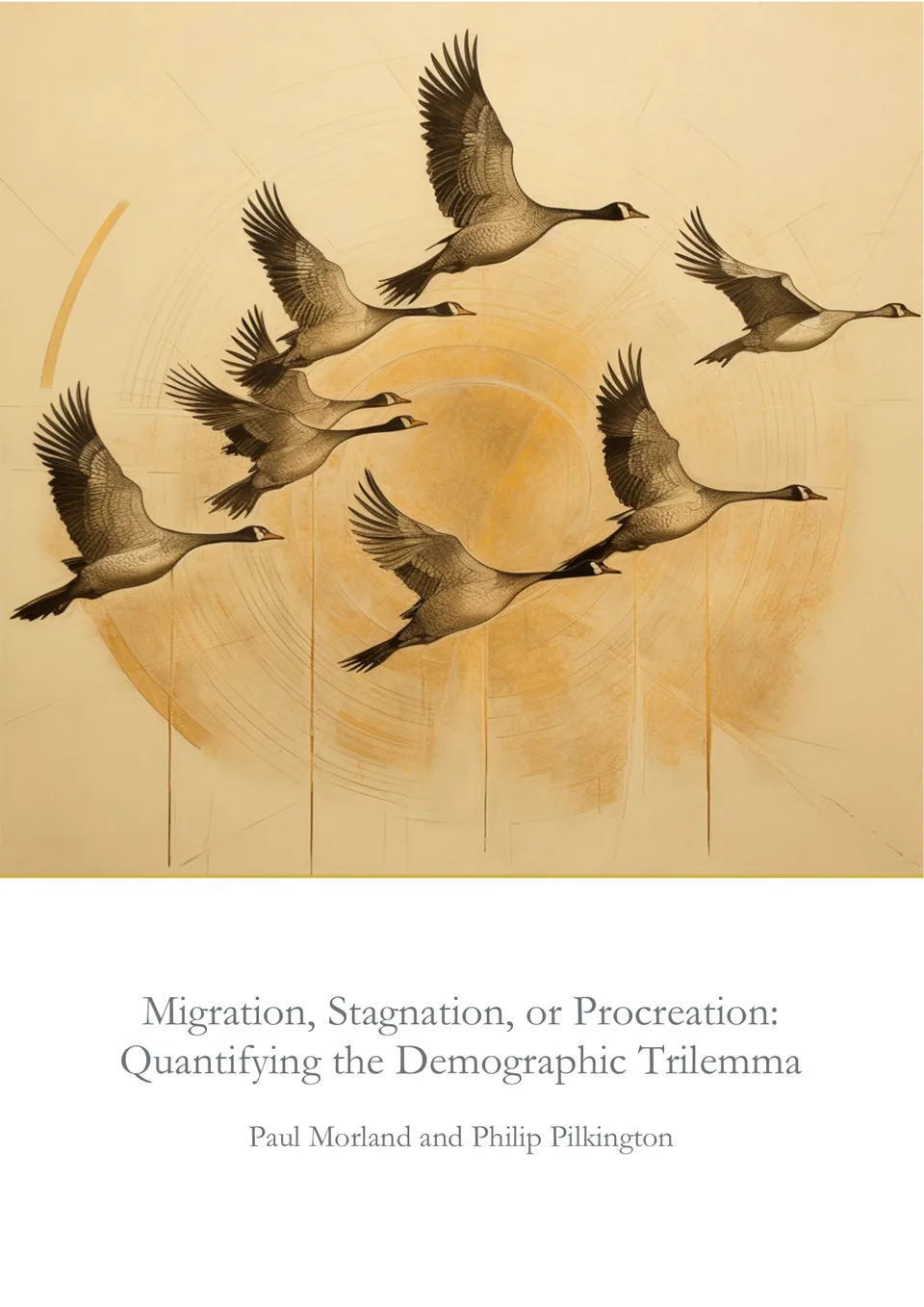 The cover of Migration, Stagnation, or Procreation: Quantifying the Demographic Trilemma